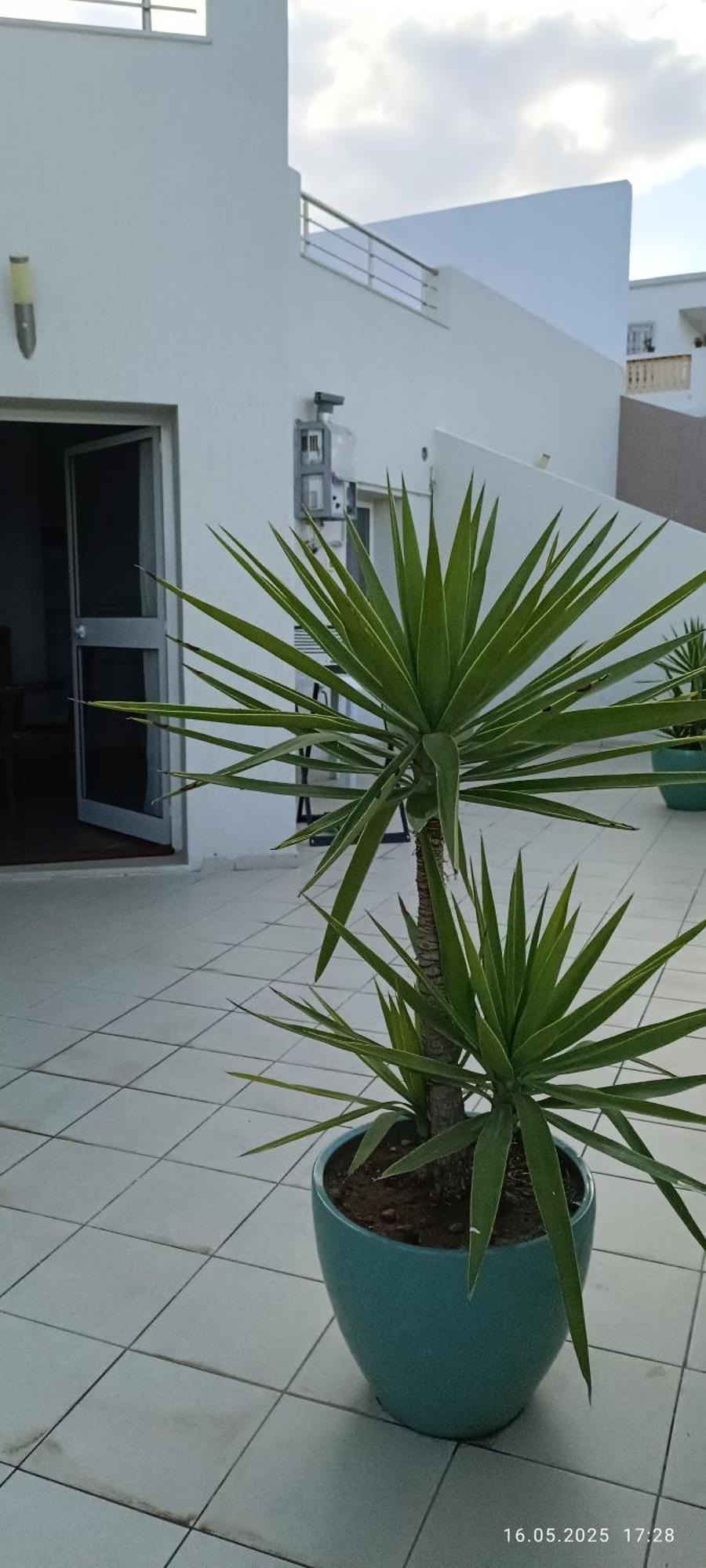 מונסטיר Residence Debbabi Sans Coupure D'Eau חדר תמונה